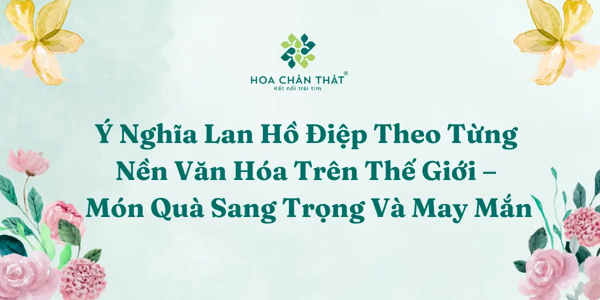 Y Nghia Lan Ho Diep Theo Tung Nen Van Hoa Tren The Gioi – Mon Qua Sang Trong Va May Man