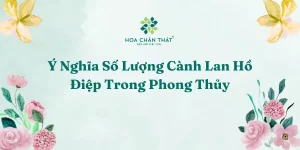 Ý nghĩa số cành lan hồ điệp
