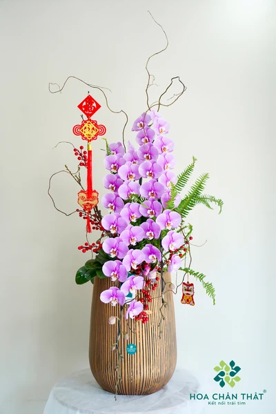 Chậu Lan Hồ Điệp Hồng 3 Cành – Như Ý