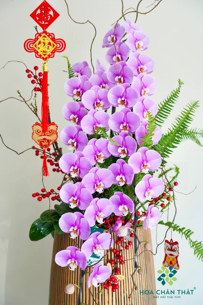 chau lan ho diep hong nhu y 33