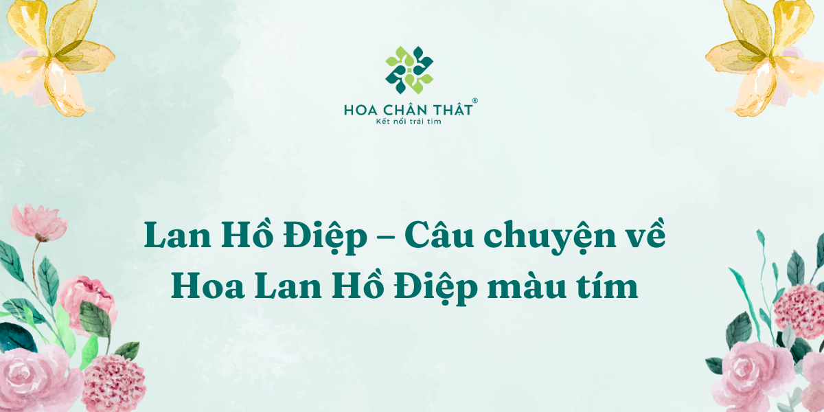 Cau chuyen ve Hoa Lan Ho Diep mau tim