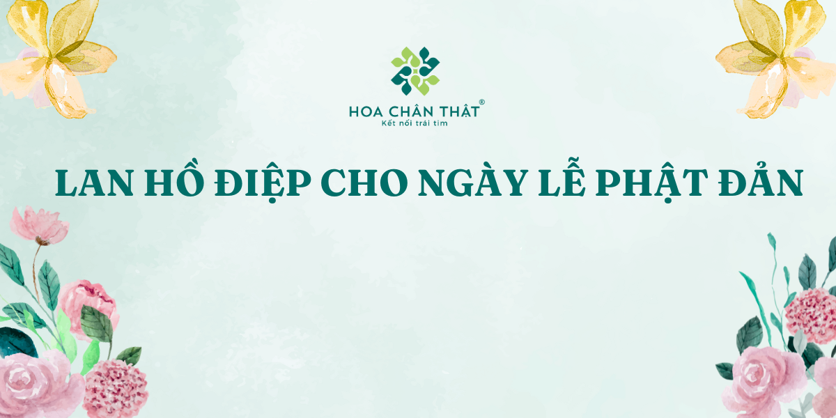 LAN HO DIEP CHO NGAY LE PHAT DAN