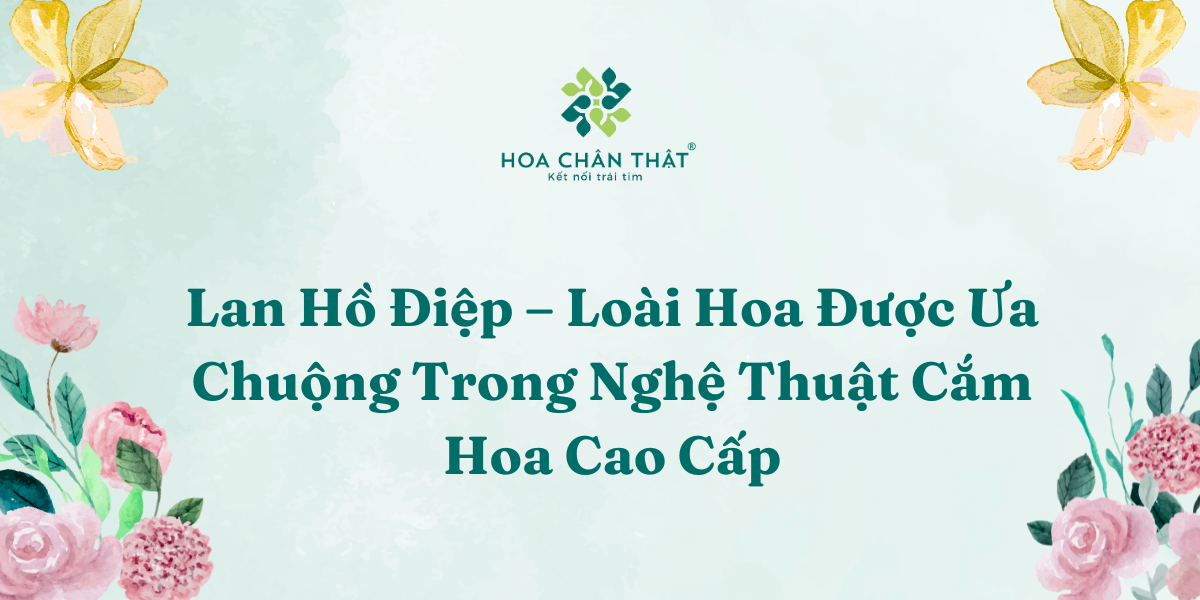 Lan Ho Diep – Loai Hoa Duoc Ua Chuong Trong Nghe Thuat Cam Hoa Cao Cap