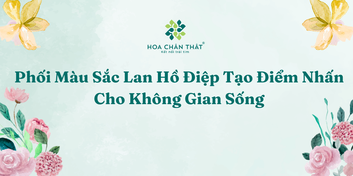 Phoi Mau Sac Lan Ho Diep Tao Diem Nhan Cho Khong Gian Song