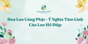 Hoa Lan Cung Phat Y Nghia Tam Linh Cua Lan Ho Diep