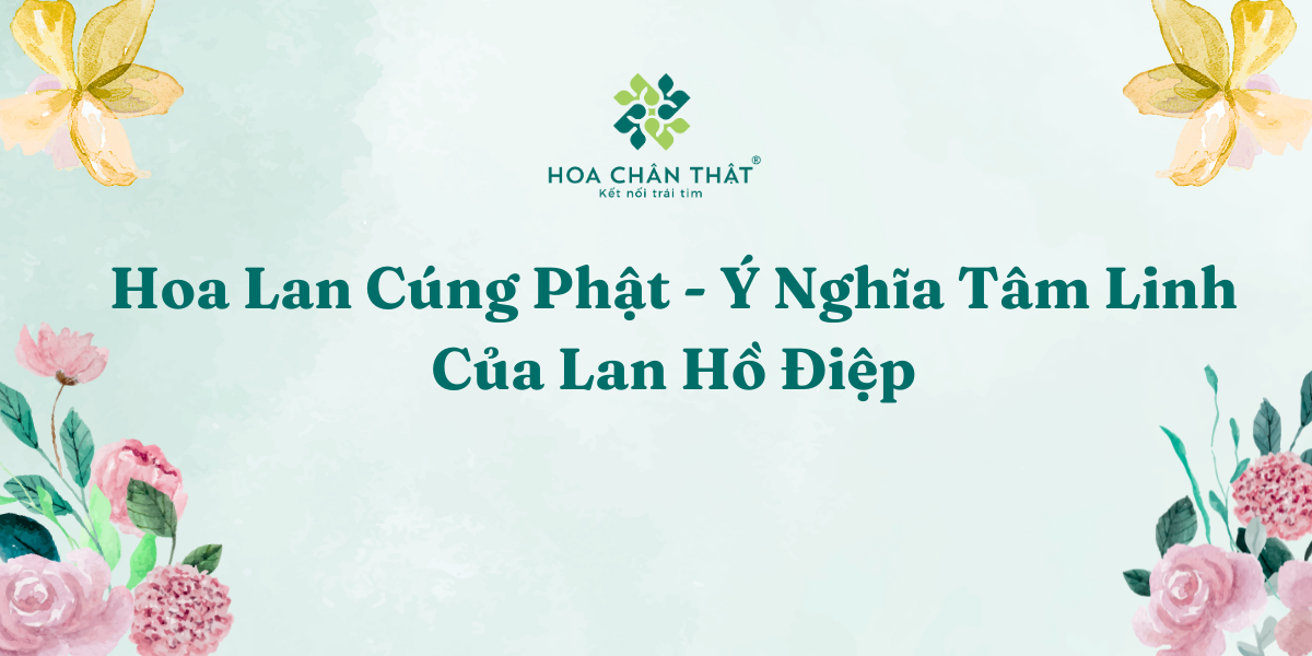Hoa Lan Cung Phat Y Nghia Tam Linh Cua Lan Ho Diep