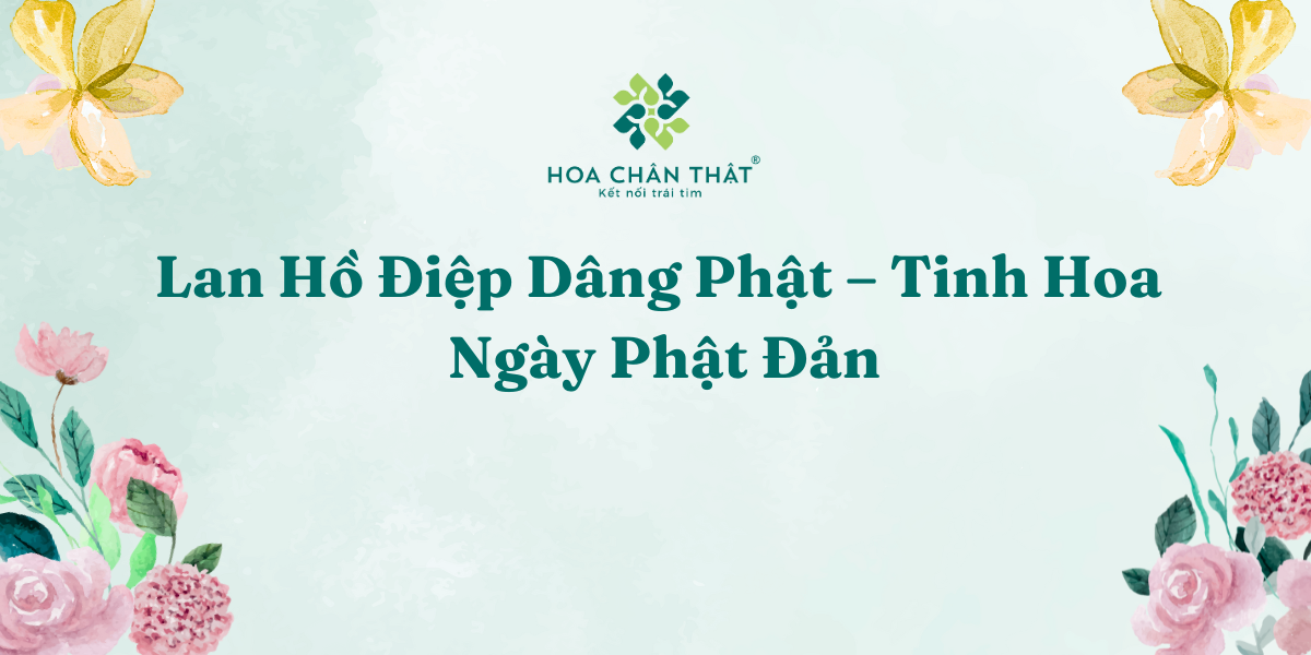 Lan Ho Diep Dang Phat – Tinh Hoa Ngay Phat Dan