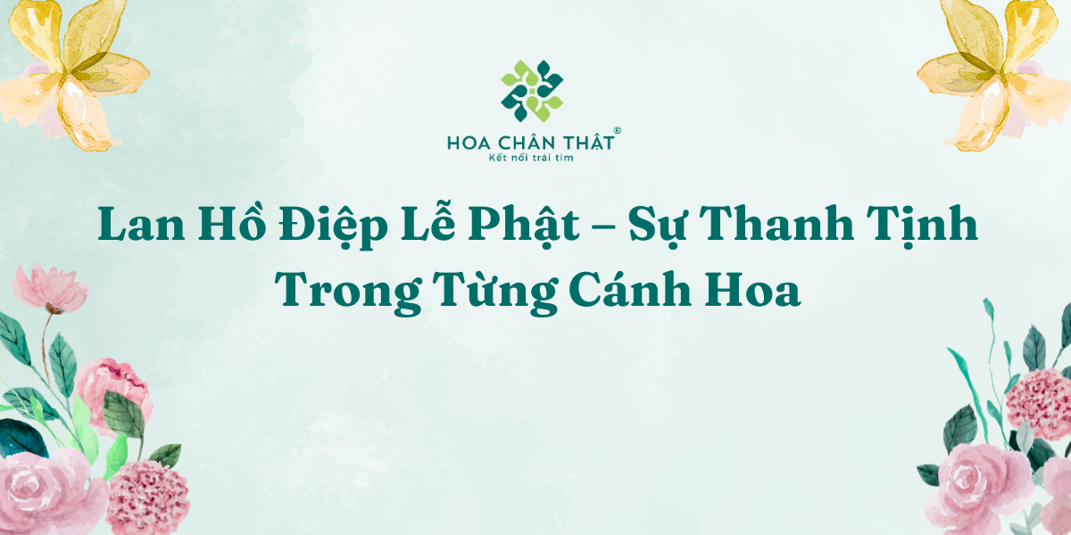 Lan Ho Diep Le Phat – Su Thanh Tinh Trong Tung Canh Hoa