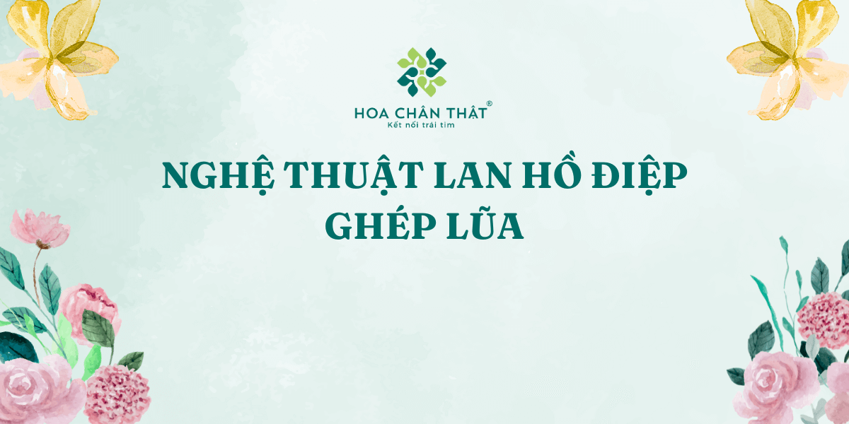 NGHE THUAT LAN HO DIEP GHEP LUA 1 1