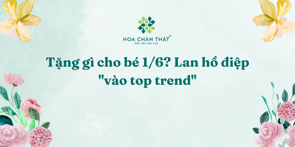 Tang gi cho be 16 Lan ho diep vao top trend