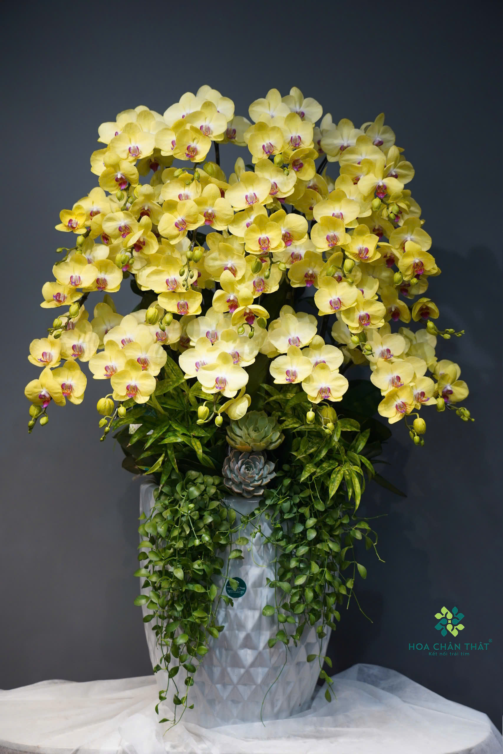 z6577209823347 75e15b577633a90725177a7ea291ee77