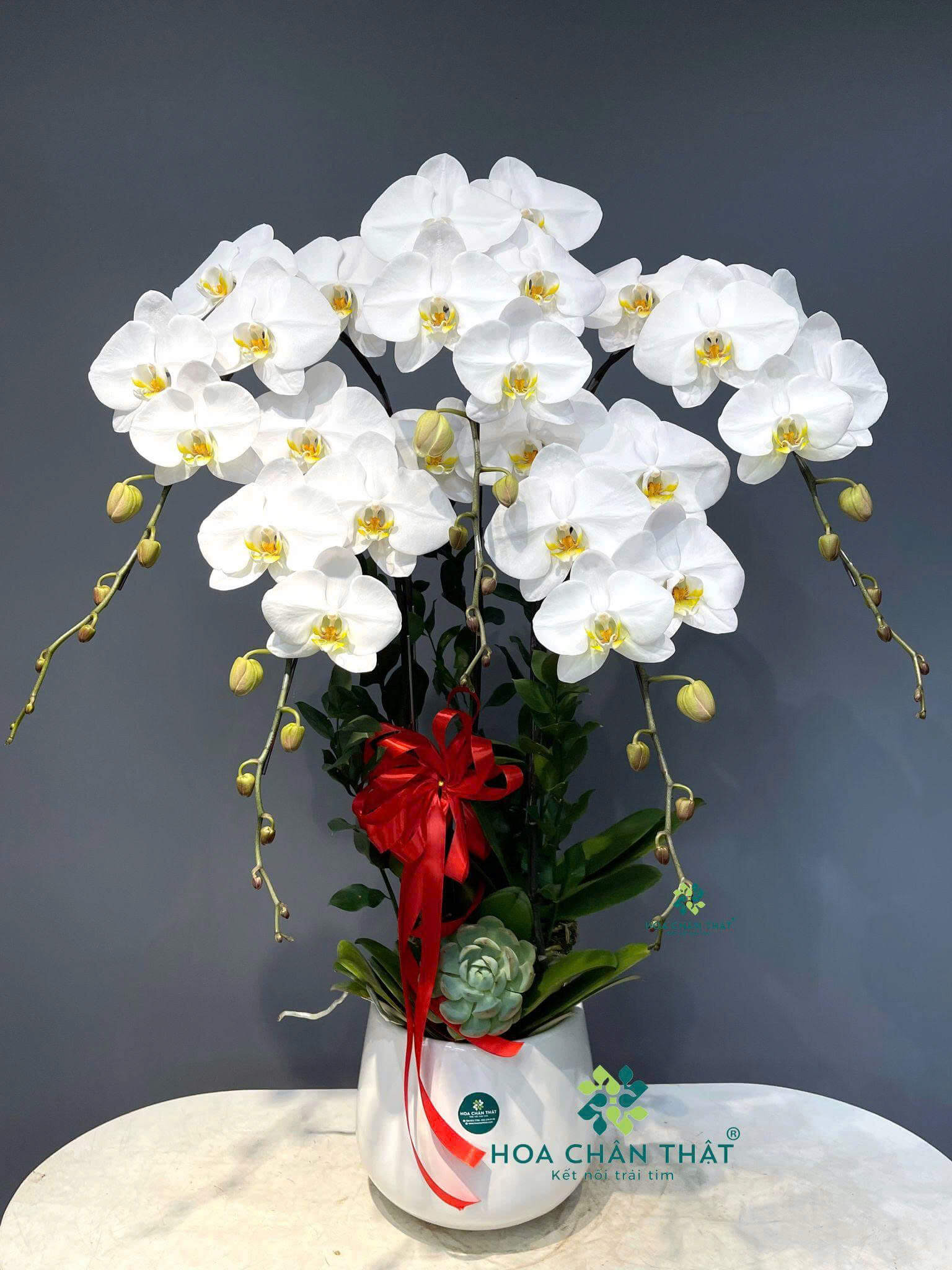 z6647481188827 ad474e9ca5925da0c1a1d950d73a89aa 1