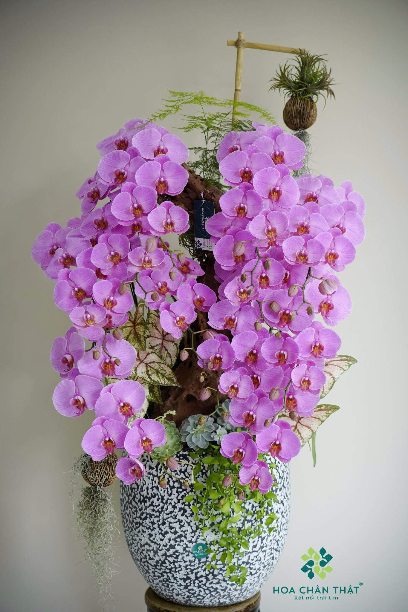 z6647481296603 decb0ebfc605c1608798e85db57335e3 1