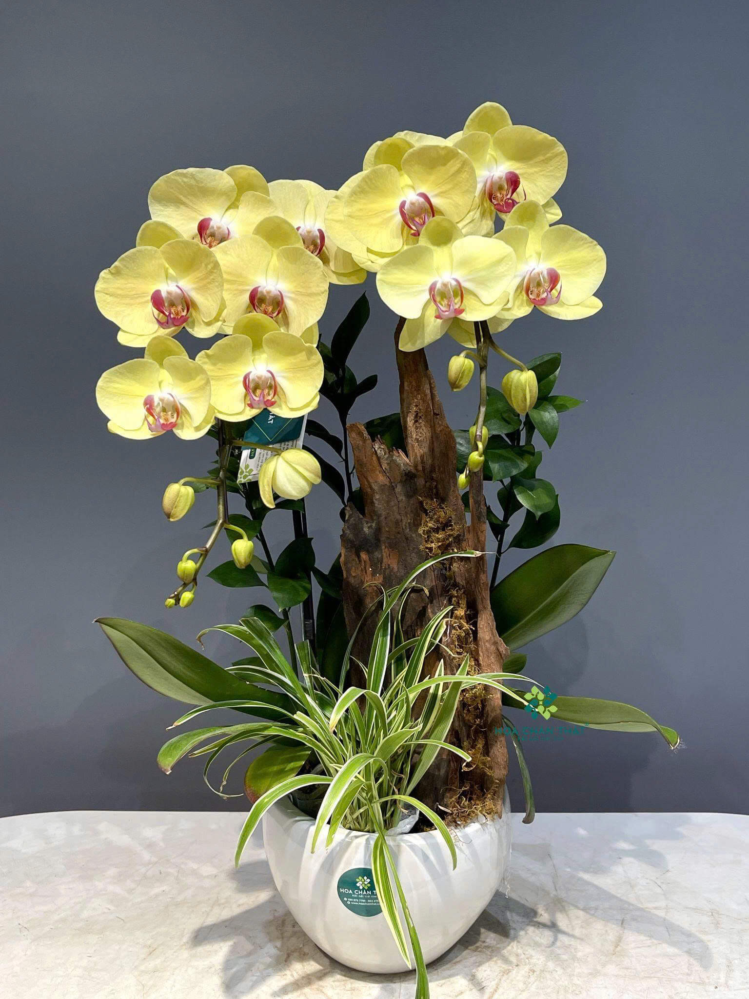 z6647481432338 74b22f080582f107ed47b0cc0409752b 1