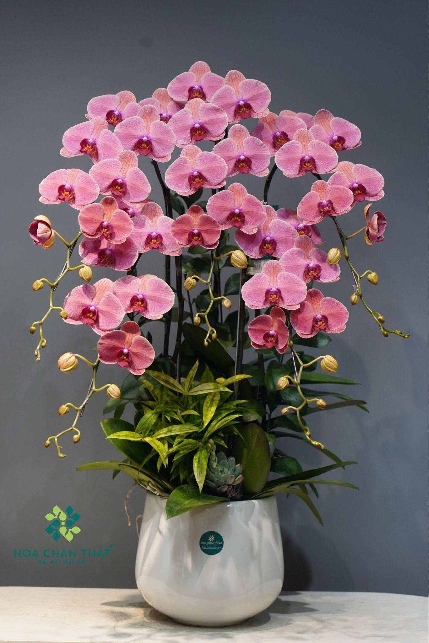 z6647481698390 8a220ba9e08068958a54e865b38aa967