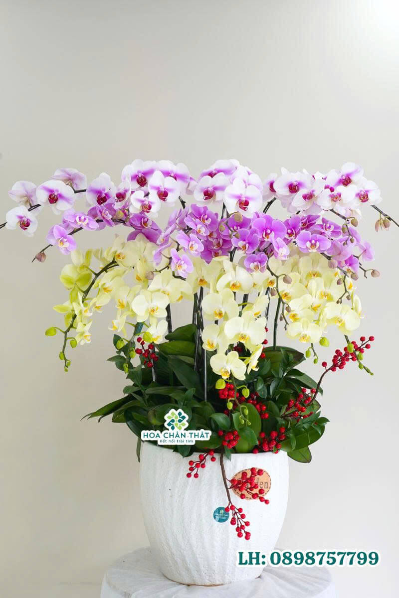 z6647481751882 7f21efa454dbab66d89f01c391a6b5b5