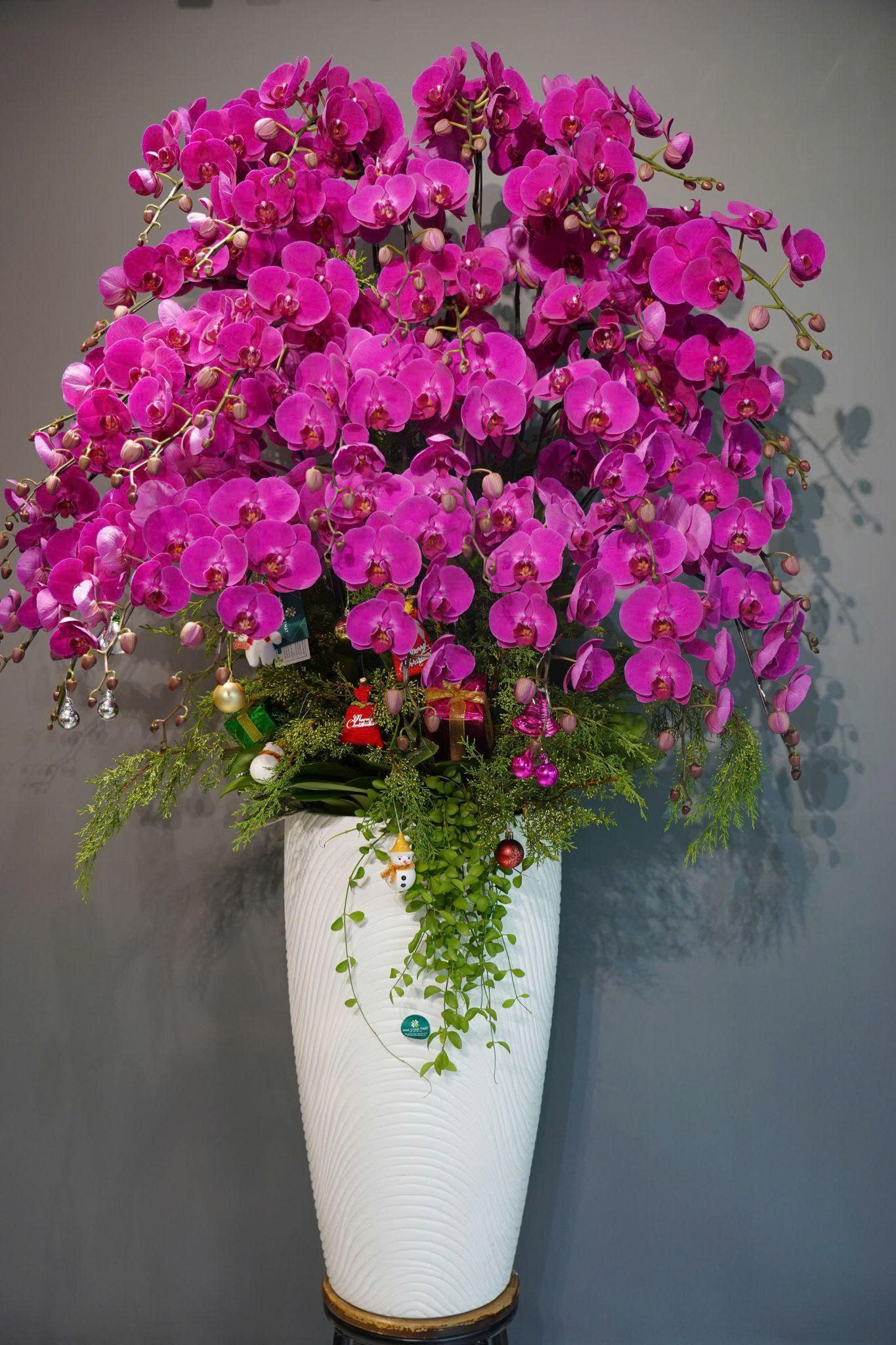 z6647481786335 22710c3451ed913efb8000233a1d8bb0