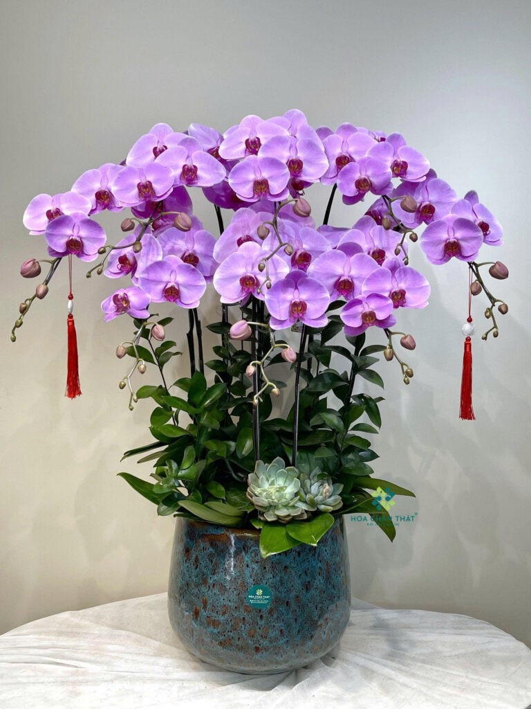 z6647481856764 f2a7c4faddc28d4ce7defdafdf720782