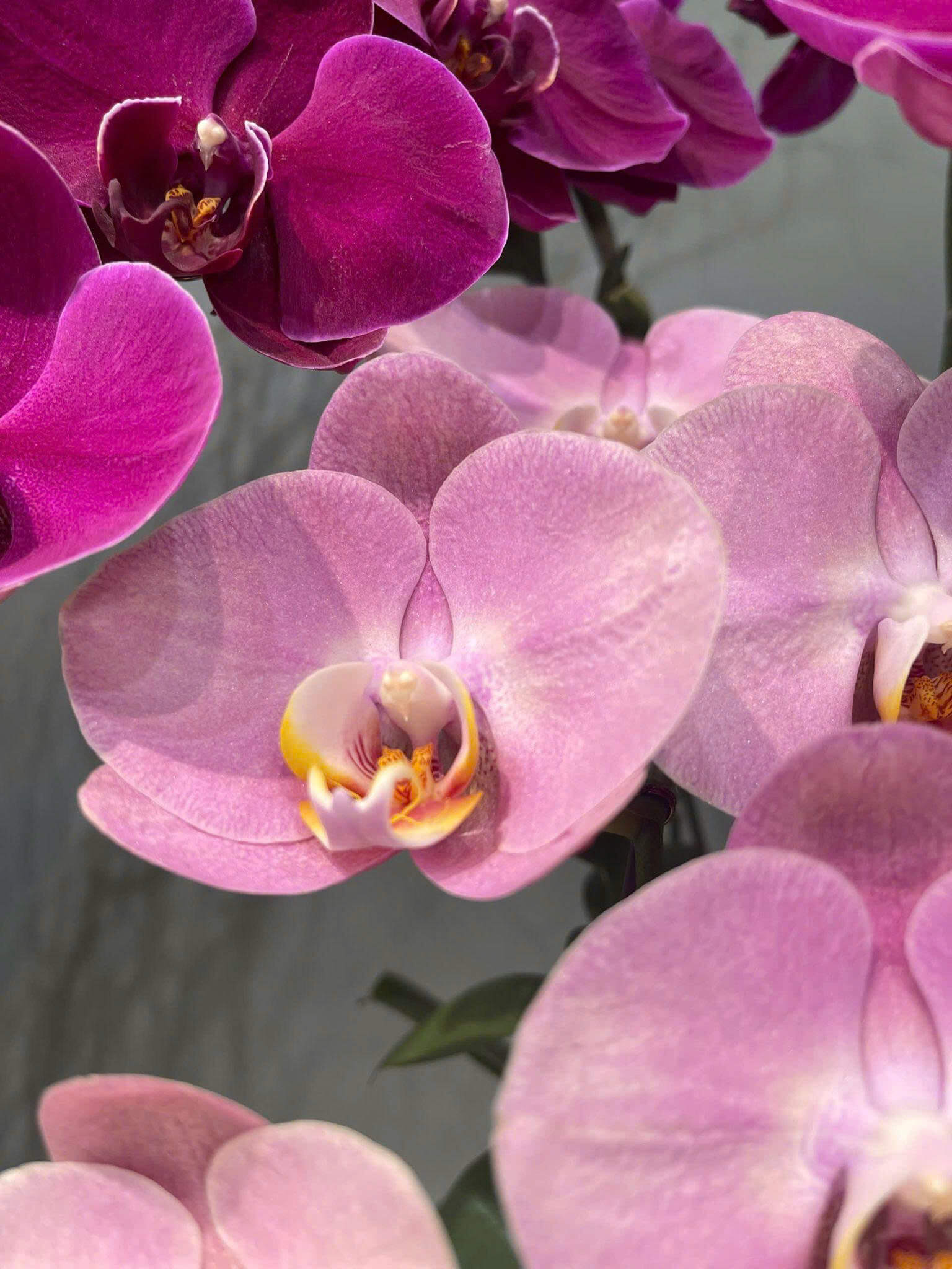 z6647481909434 4b8c49c45f10639825fa67d051ba59dd 1