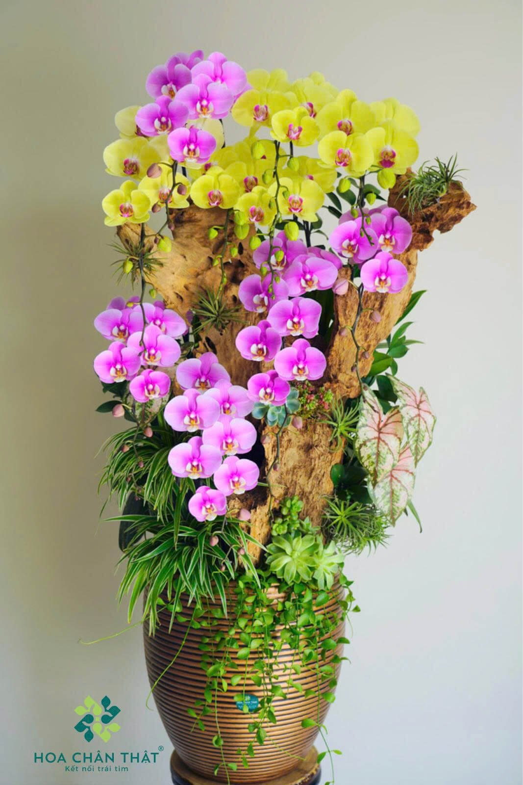 z6649305253418 c978df16965e5c1620af9b31120f2d19 1