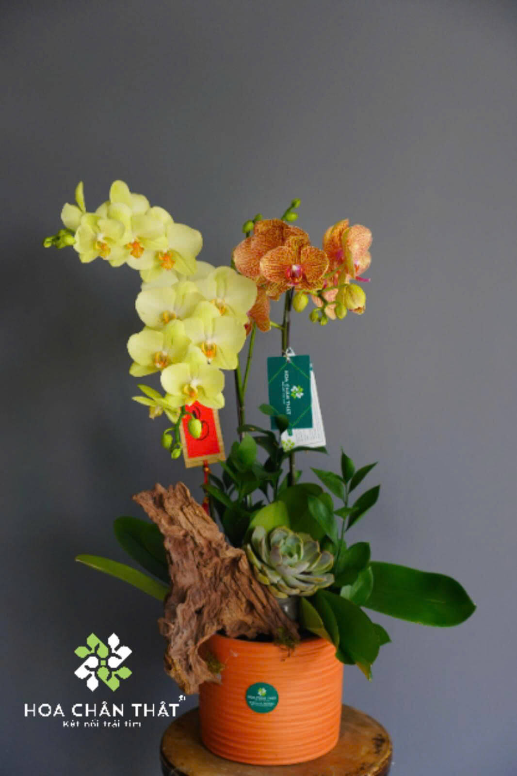 z6649305300723 e1cd456d565dc2e248ecf0470582bccc 1