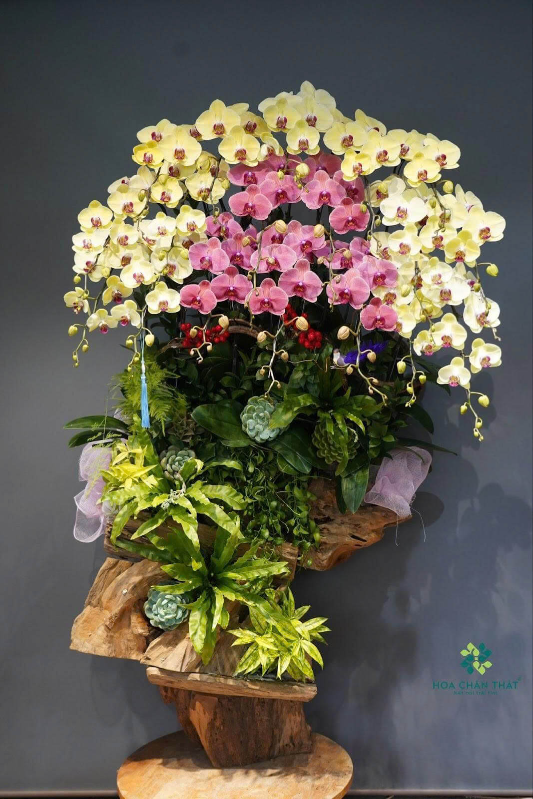 z6649305348211 e94d770f405a428294c2049701bb2049 1