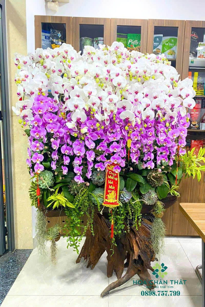 z6649305372273 6bc5e2107137cfb1b7dfc091b8e33be3 1