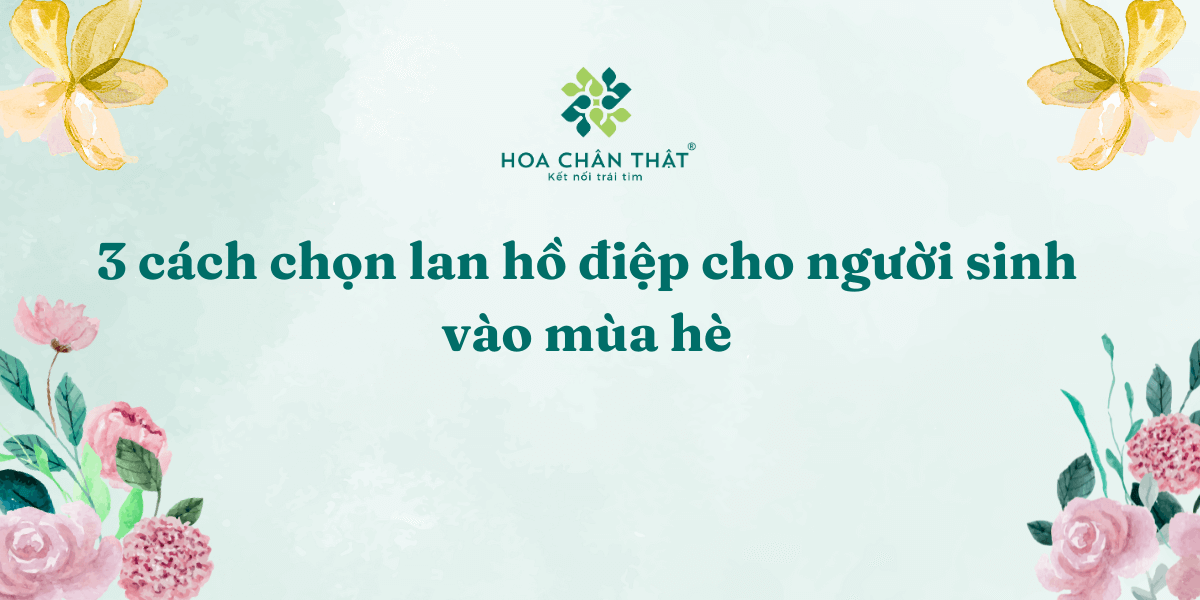 3 cach chon lan ho diep cho nguoi sinh vao mua he 1