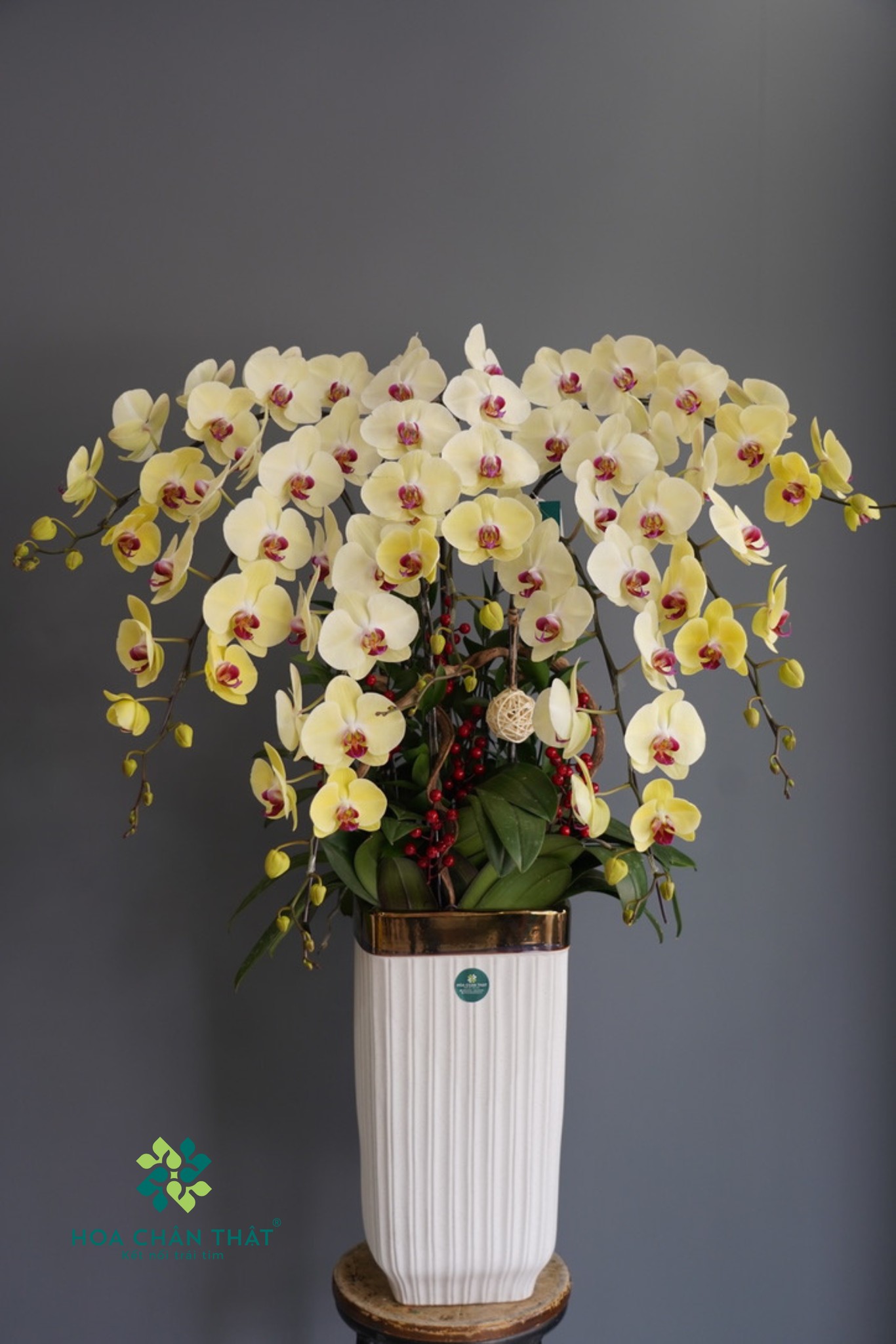 500118713 695531173229281 2003866833734015115 n