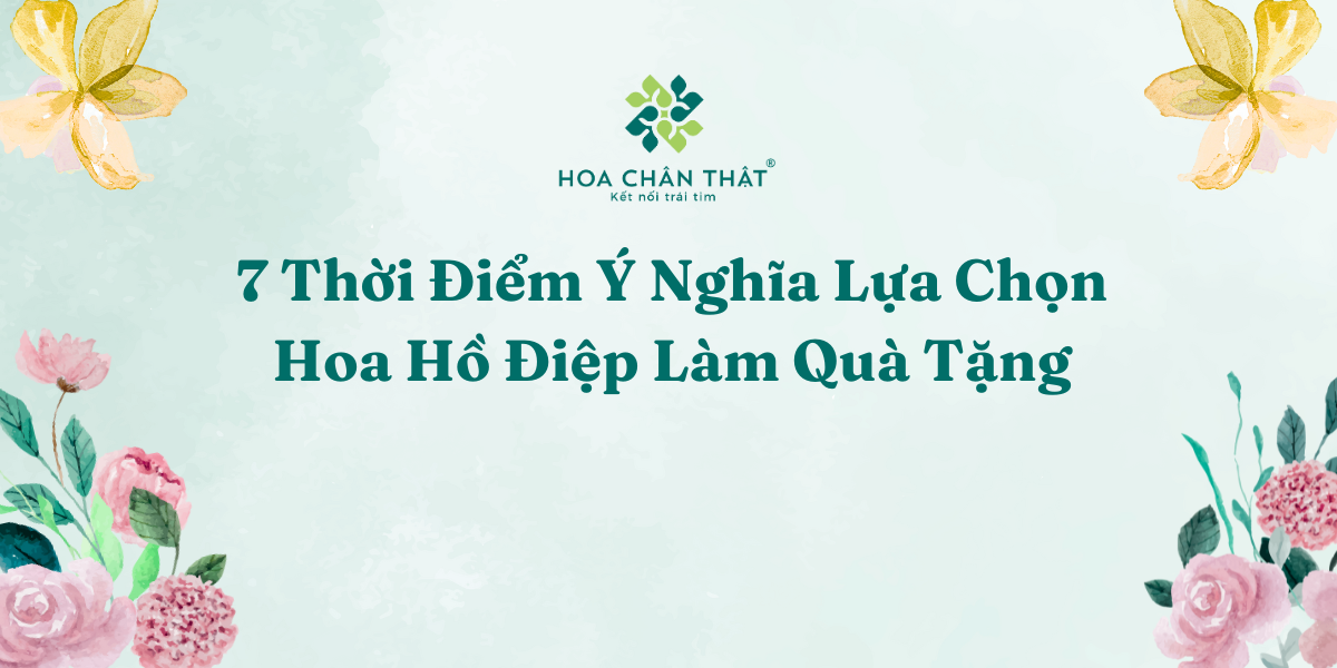 7 Thoi Diem Y Nghia Lua Chon Hoa Ho Diep Lam Qua Tang