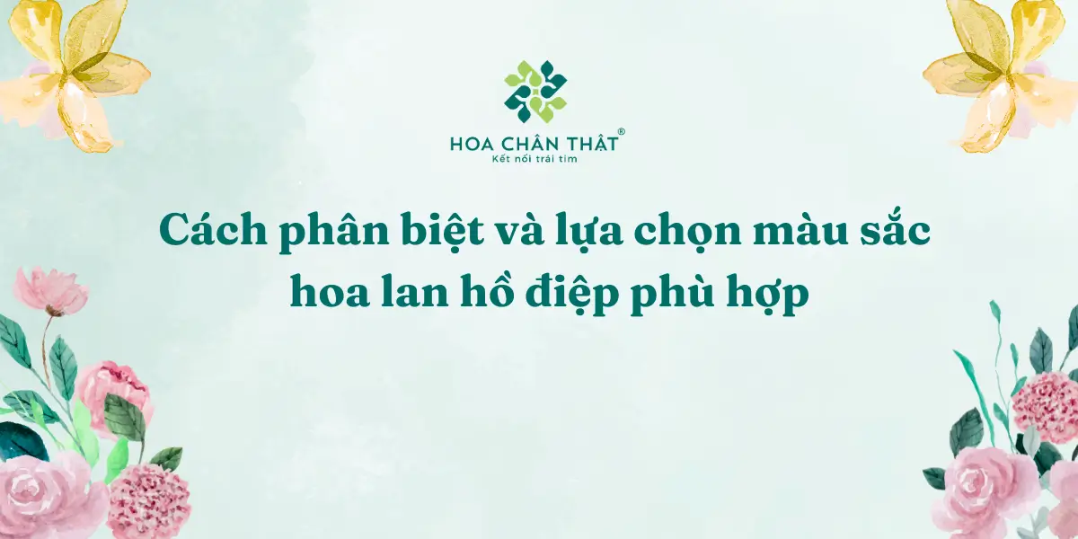 Cach phan biet va lua chon mau sac hoa lan ho diep phu hop