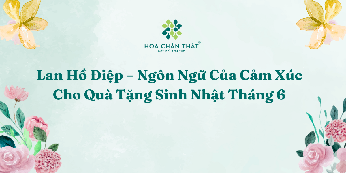 Lan Hồ Điệp – Ngôn Ngữ Của Cảm Xúc Cho Quà Tặng Sinh Nhật Tháng 6