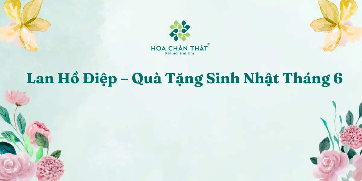Lan Ho Diep – Qua Tang Sinh Nhat Thang 6