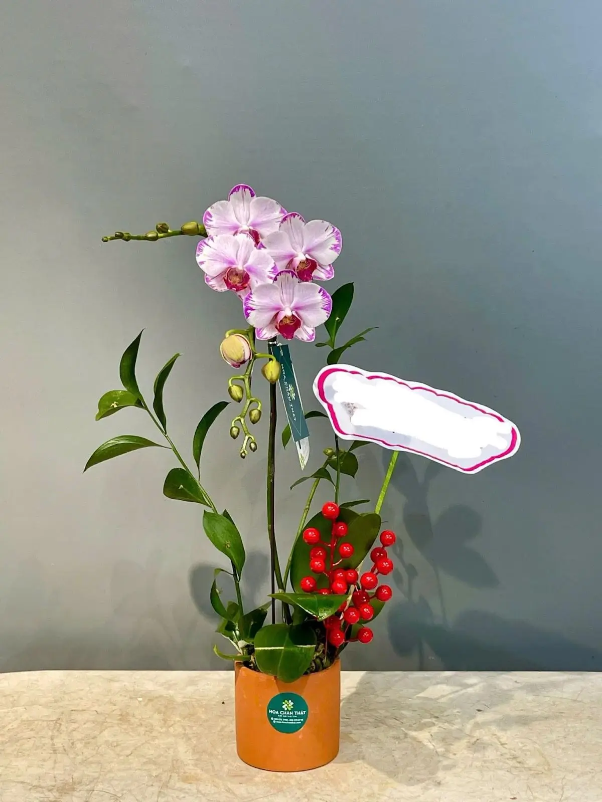 Lan Hồ Điệp Cho Mùa Vu Lan – Lời Tri Ân Cha Mẹ Cùng Hoa Chân Thật Picture7