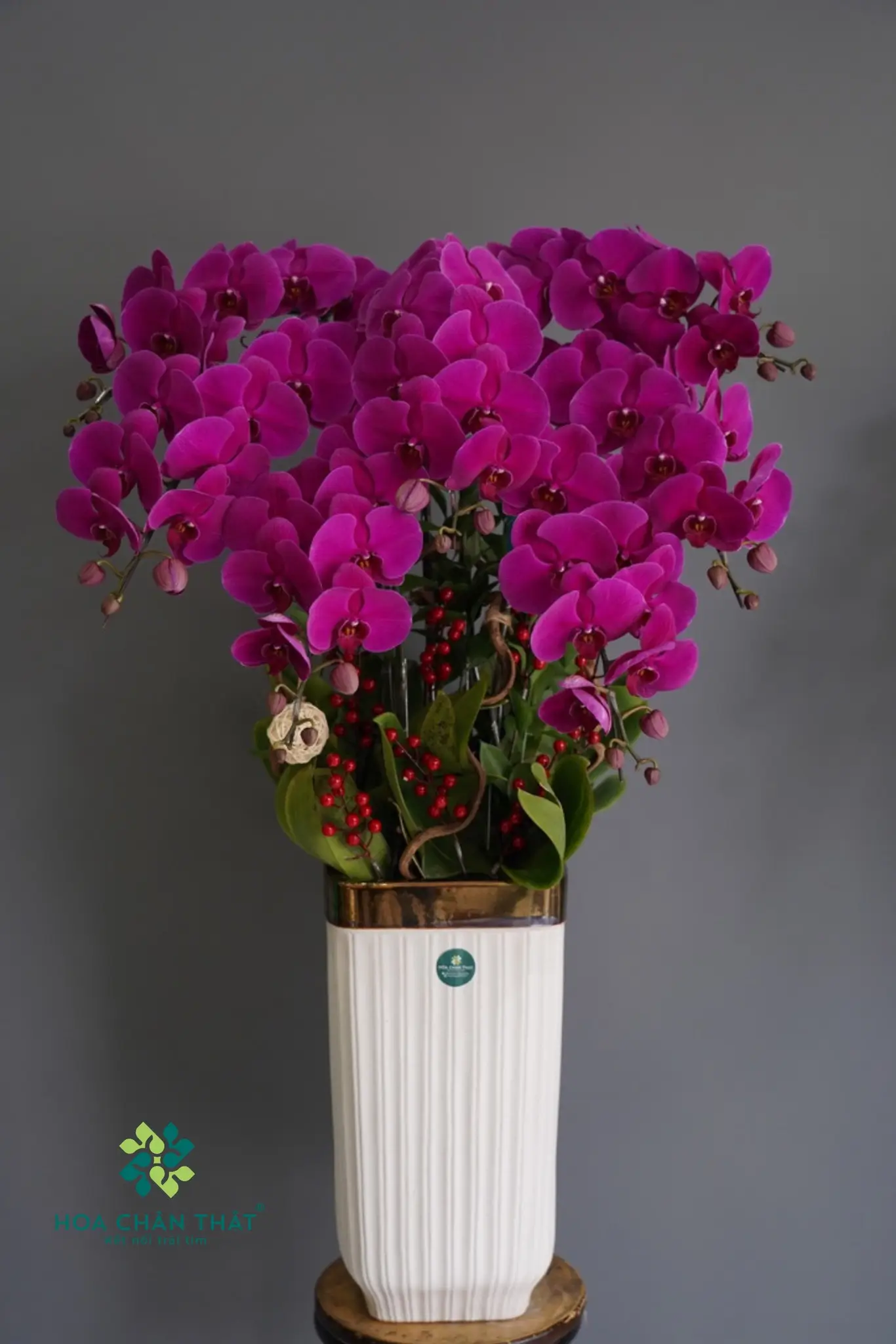 Lan hồ điệp tím  – Duyên Thắm