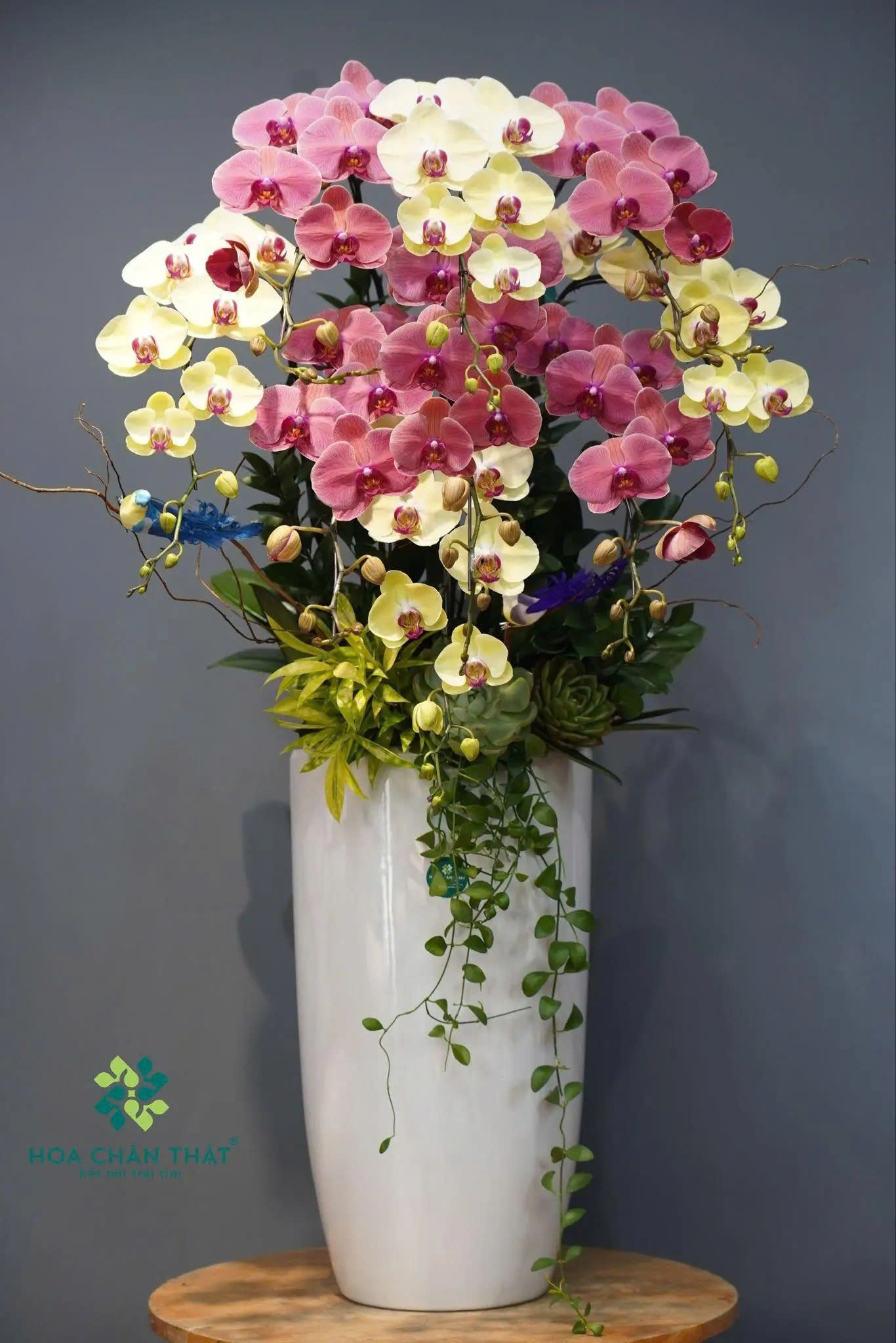 z6687062728005 2cd82c0da546961d585049294b23b90b