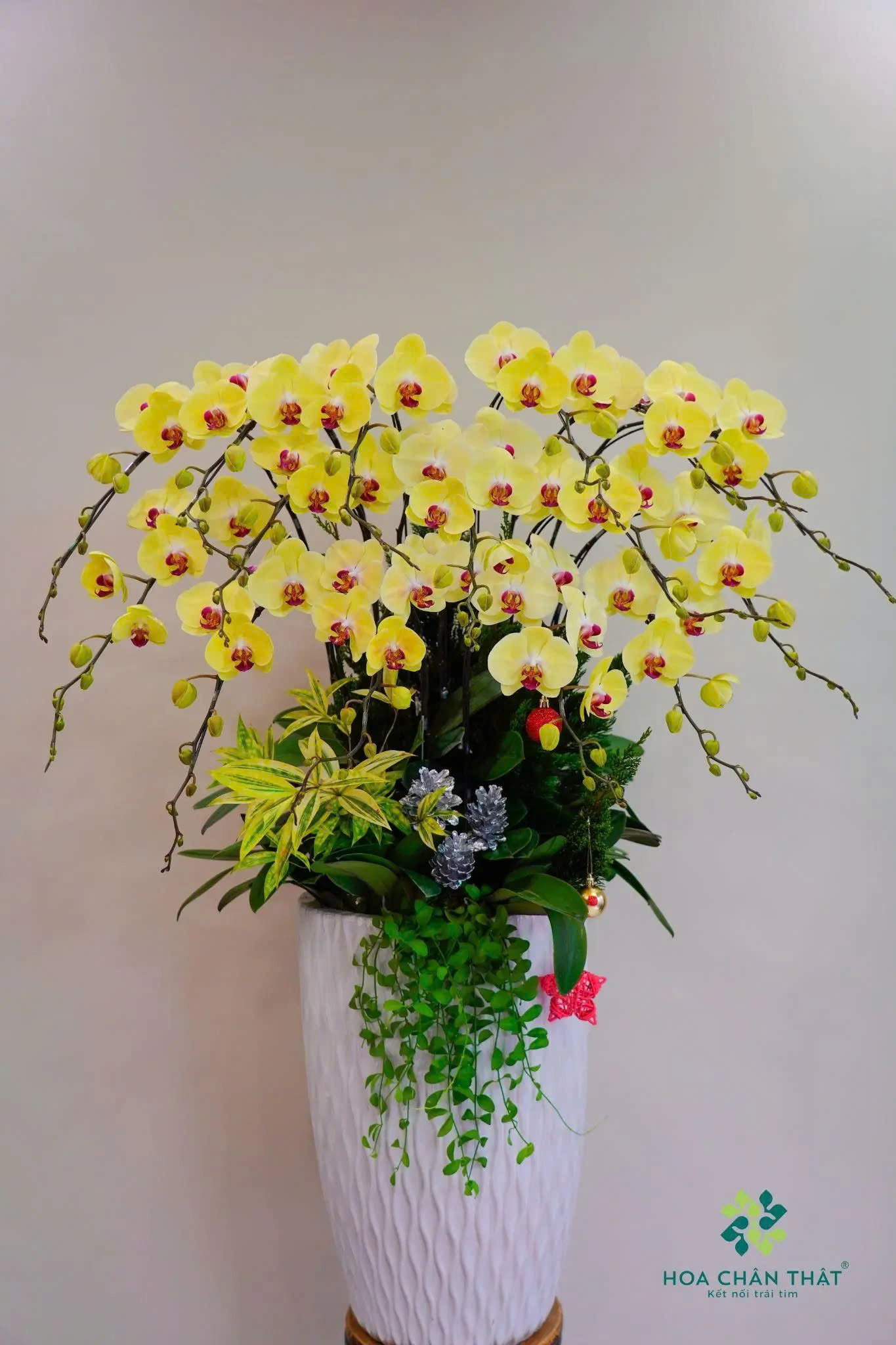 z6687062789522 a41866837b19ef55a3a13465ac408b97