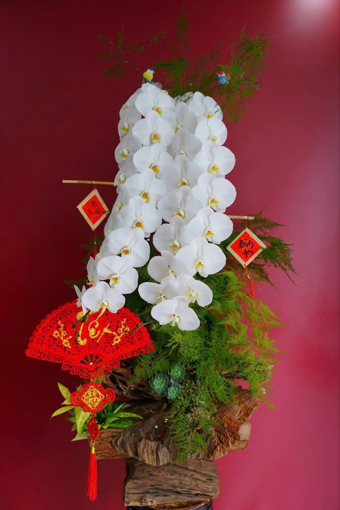 7 THỜI ĐIỂM Ý NGHĨA LỰA CHỌN HOA HỒ ĐIỆP LÀM QUÀ TẶNG