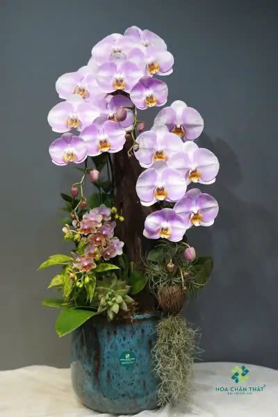 z6687062917082 7a0e6c3205373257fdf22334fb23d98d