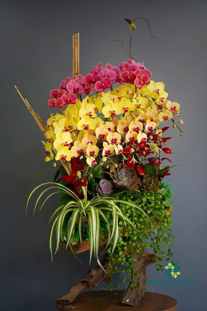 z6688933828065 a656a099204b792d0ad51c6d509602a9