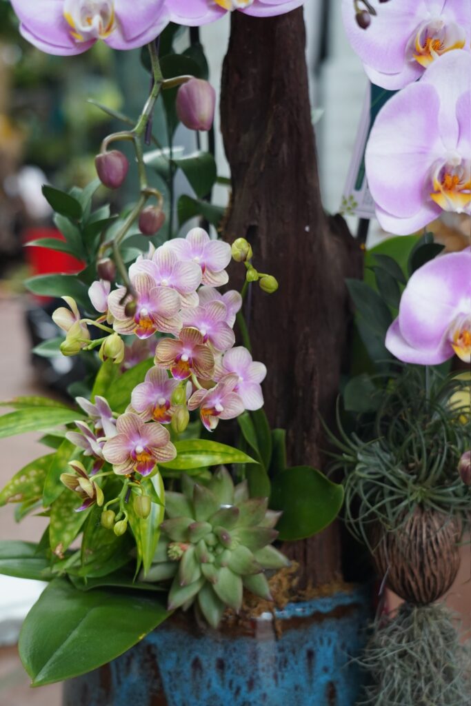 1a66c2611cc7ae99f7d6