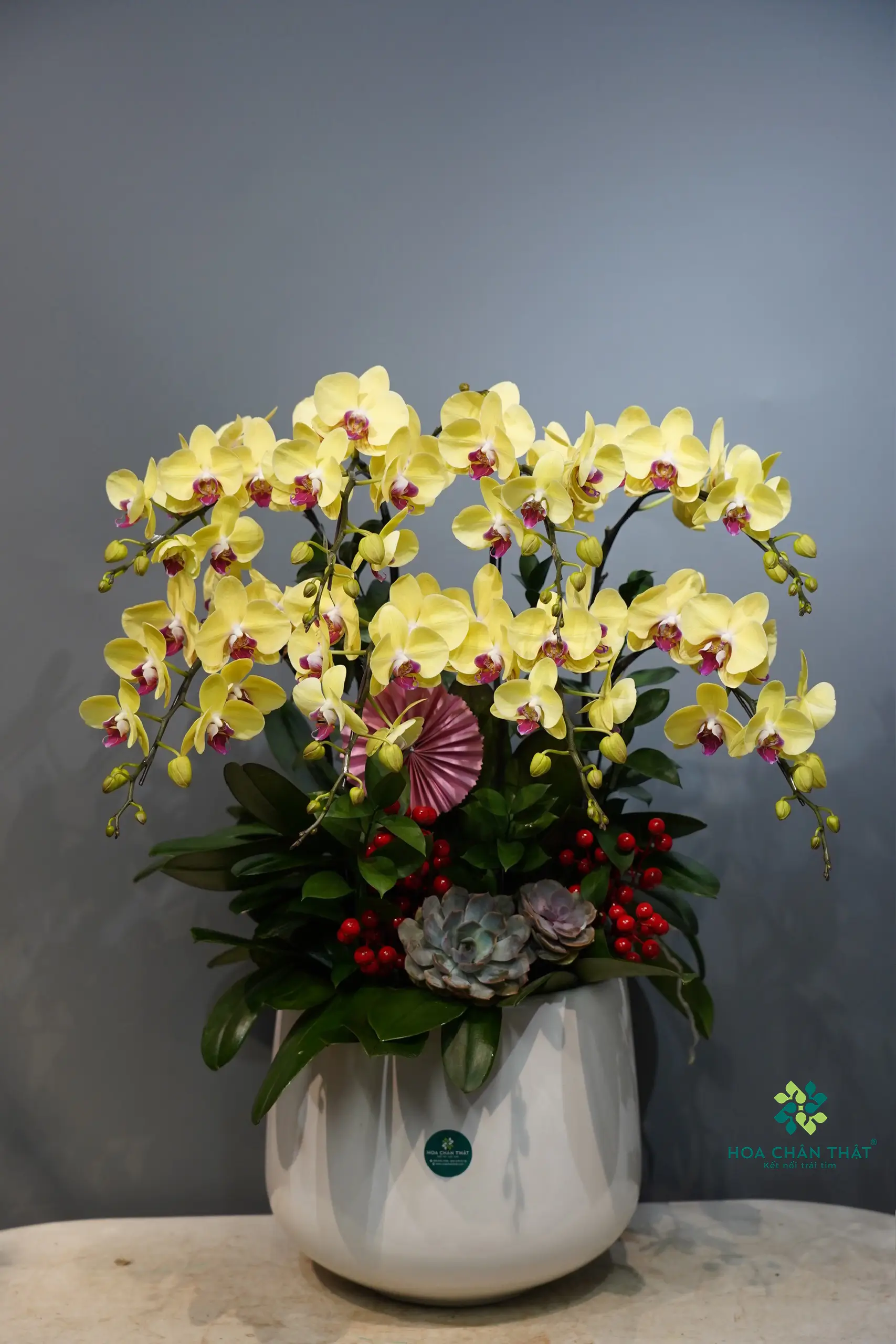 23eb6365ff51490f104027