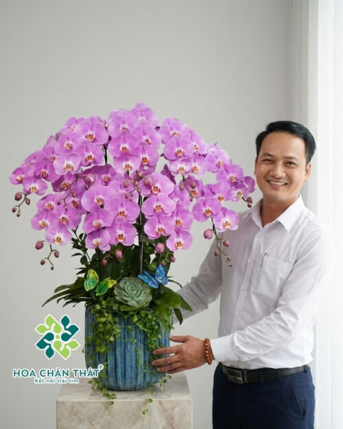 Chậu Lan Hồ Điệp Hồng 9 Cành – Thiên Hương