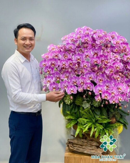 Chậu Lan Hồ Điệp Máng Lũa Hồng 30 Cành – Hồng Tơ