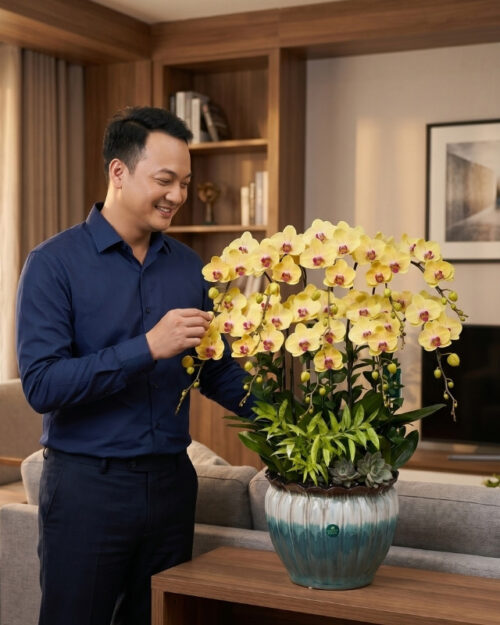 Chậu lan hồ điệp Vàng 10 cành – Dương Minh
