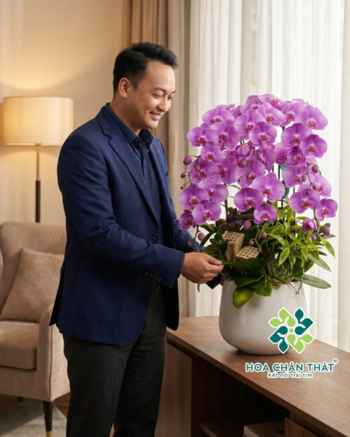 Chậu lan hồ điệp tím 6 cành vân trắng – Tử Ân
