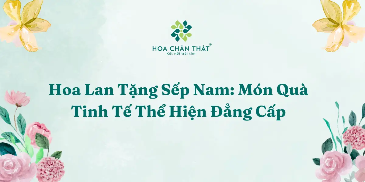 Hoa Lan Tang Sep Nam Mon Qua Tinh Te The Hien Dang Cap