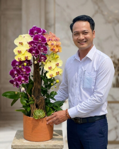 Lan Hồ Điệp Ghép 5 Cành Mix Cam Vàng Tím – Tam Sắc Hoa