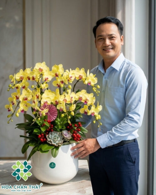 Lan Hồ Điệp Vàng 8 Cành – Minh Hoàng