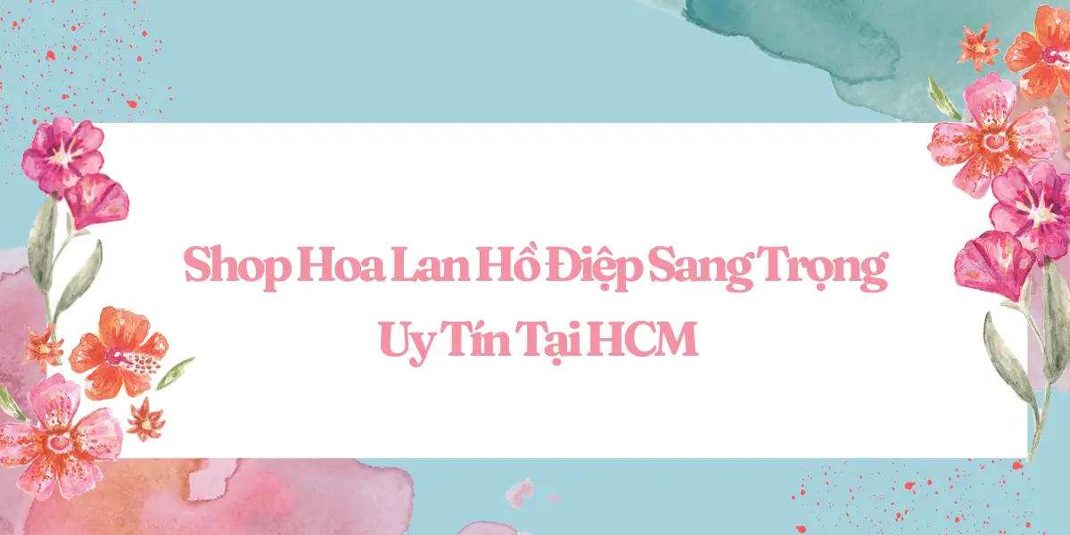 Shop Hoa Lan Ho Diep Sang Trong Uy Tin Tai HCM